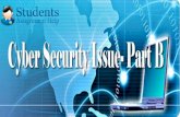 Assignment  on Cyber Security Issues