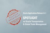 Spotlight on Oracle Transportation & Global Trade Management