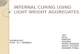 final INTERNAL CURING USING LIGHT WEIGHT AGGREGATES