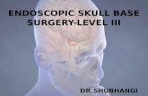 Endoscopic skull base surgery level iii