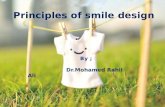 Principles of smile design