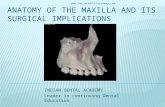 Anatomy of the maxilla and its surgical implications /cosmetic dentistry courses
