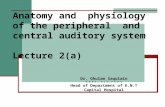 2(a)    anatomy and  physiology of the peripheral  and central auditory system