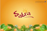 Sabra Ad Campaign - "The Creamy Delight That's Always Just Right"