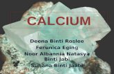 secondary macronutrient : Calcium
