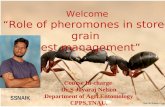 Role of pheromones in stored grain pest management SSNAIK TNAU