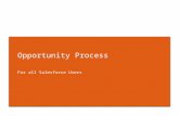 2016 Opportunity Process 111116