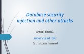 Data base security and injection