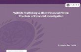 Wildlife Trafficking and Illicit Financial Flows: The role of Financial Investigation