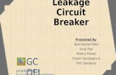 MCB And Earth Leakage Circuit