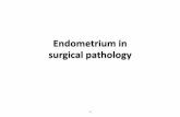 Endometrial histopathology-Basics