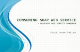 Mulesoft Consuming Web Service - Web Service Consumer