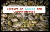 Lipids and Carbohydrate