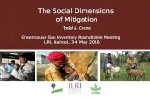 The social dimensions of mitigation