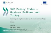 SME Policy Index –  Western Balkans and Turkey: Assessing the Implementation of the Small Business Act for Europe