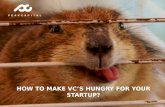 How to Make VC's Hungry for your Startup