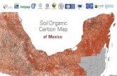 Soil Organic Carbon Map of Mexico