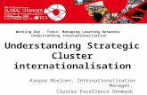 TCI 2016 Understanding Strategic Cluster internationalization