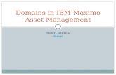 Domains in IBM Maximo Asset Management