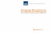 Doing Business in Mozambique - A practical guide for Dutch ...
