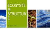 Ecosystem  structure