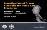 Investigation of Screw Fixations for Pubic Rami Fractures_AN_KKD