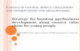 Strategy for boosting agribusiness development along cassava value chain for young people
