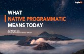 Session sponsored by TripleLift: What Native Programmatic means Today, Digiday Programmatic Summit, November 2016