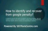 How Identify Google Panda/Penguin Penalty In 2017? (Recovery By SEO Tools Centre)