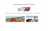 A Brief Brochure of Tibet - cssauh.com