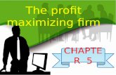 The profit maximizing firm