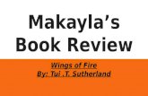 Wings of fire book review