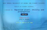 aquarium plant utility and propagation