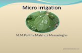 Micro irrigation