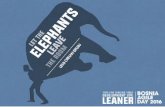 Let The Elephants Leave The Room - Remove Waste in Software Development - Bosnia Agile Day 2016