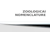 Zoologic al nomenclatures 5
