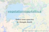 vegetationmap4africa tutorials: Select tree species in Google Earth