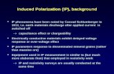 Induced Polarization (IP)