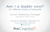 Am I a leader now? On different shades of leadership.