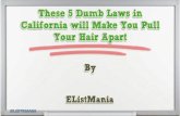 These 5 Dumb Laws in California will Make You Pull Your Hair Apart