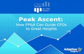 Peak Ascent: How FP&A Can Guide CFOs to Great Heights