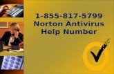Norton Antivirus Help Number 1-855-817-5799