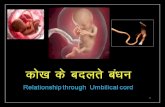Hindi    relationship through umbilical cord