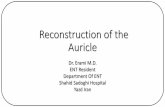 Reconstruction of the auricle Dr. M. Erami