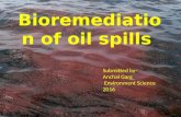 bioremediation of oil spills