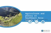 Agriculture and Policy SEA