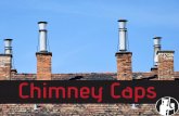 Chimney Caps