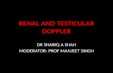 Renal and testicular doppler