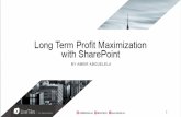 Long Term Profit Maximization with SharePoint