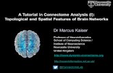 A tutorial in Connectome Analysis (1) - Marcus Kaiser